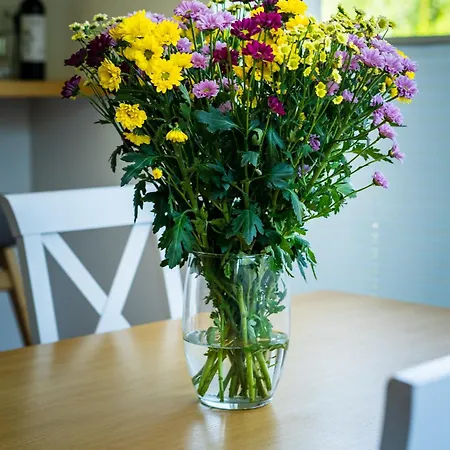 Water House - Mazur Villa