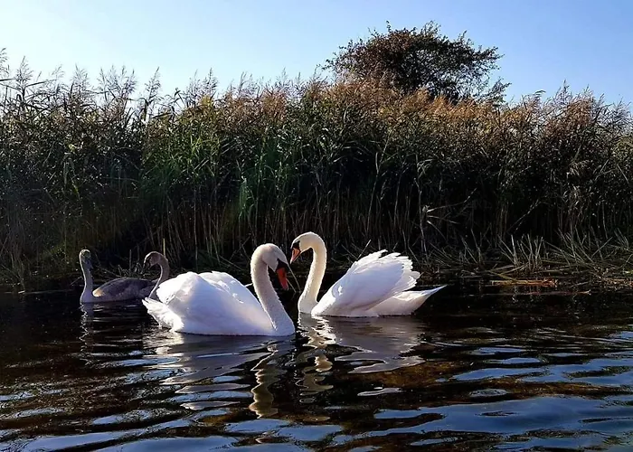 Vila Water House - Mazur *