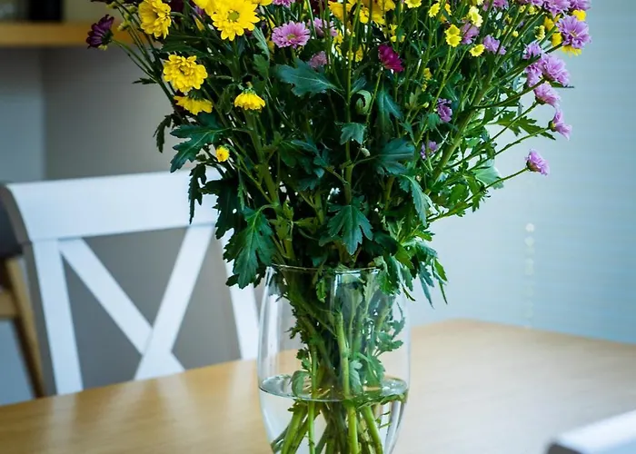 Water House - Mazur Vila